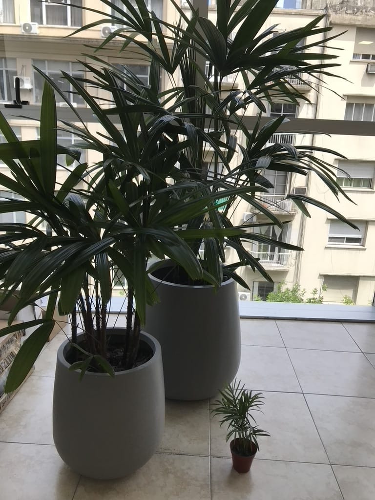 Foto 7