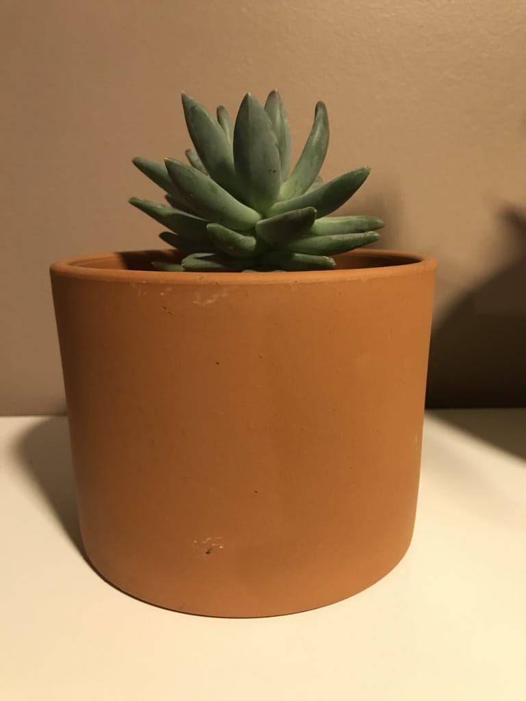 Foto 1