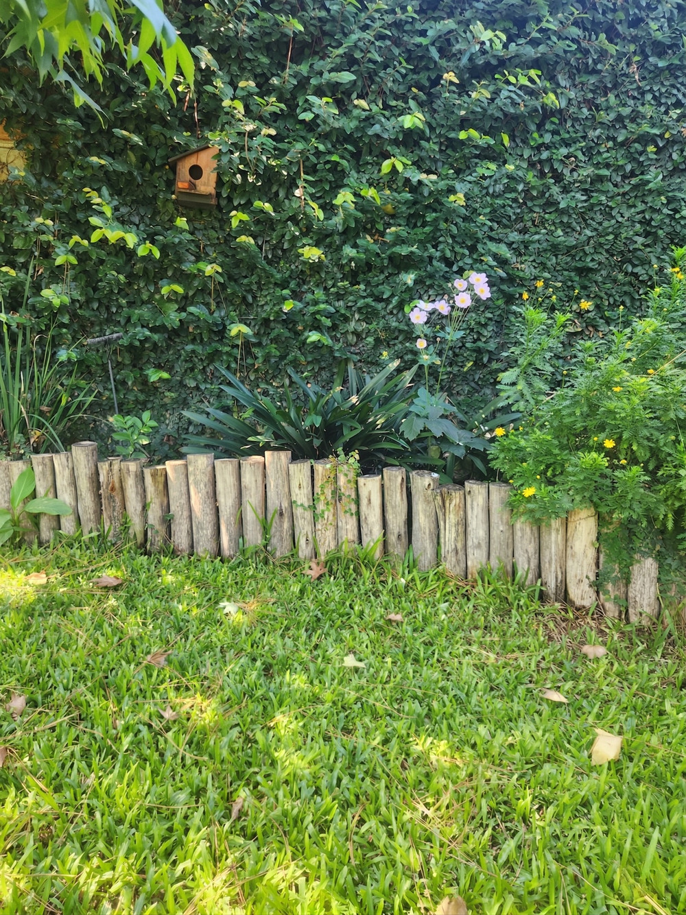 Obra 1