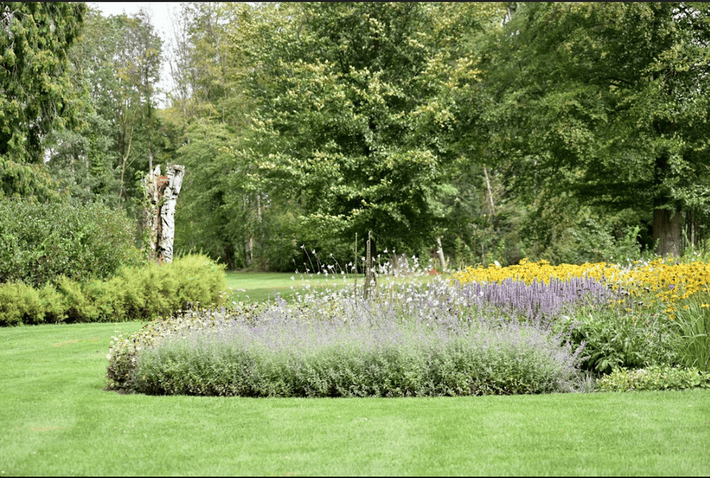 Jardín Impecable