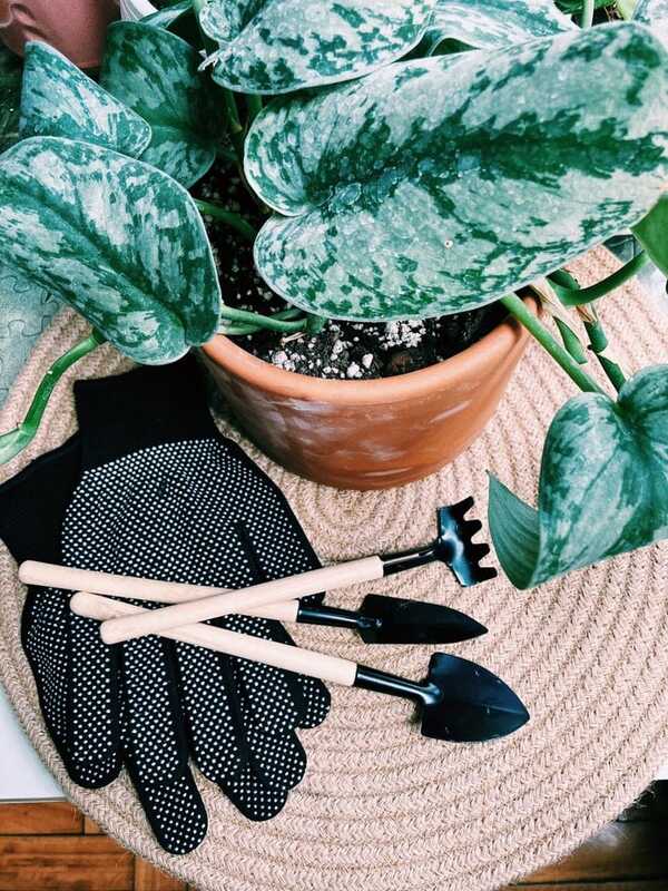 Productos