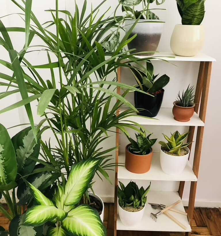Productos